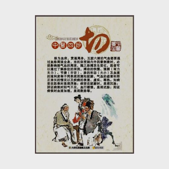 Traditional Chinese Medicine Four Diagnostic Methods 3D model