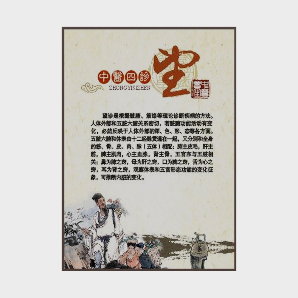 Chinese Medicine Hall Lobby Chinese Medicine Four Diagnoses Painting