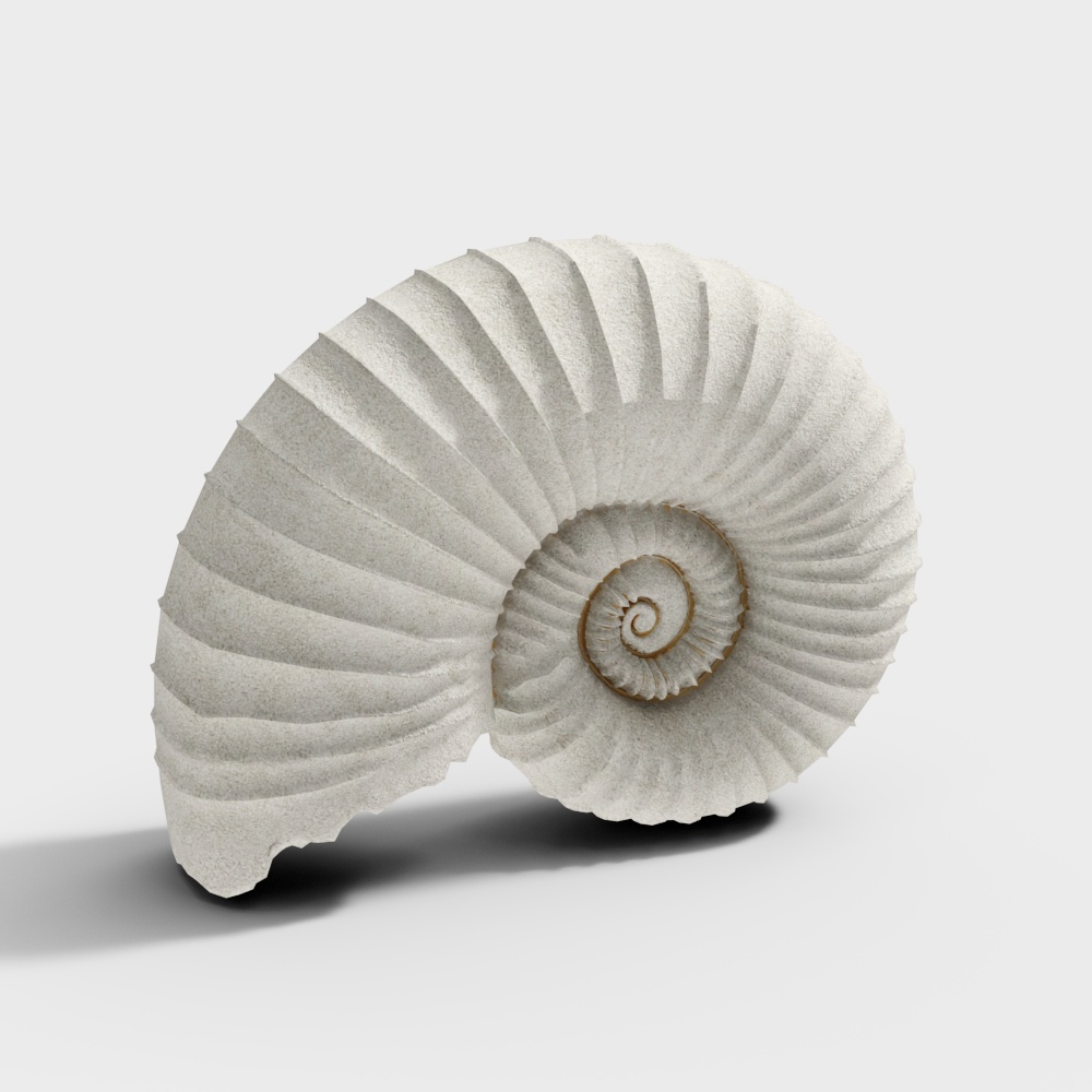 Low Polygon Spiral Shell 3D model