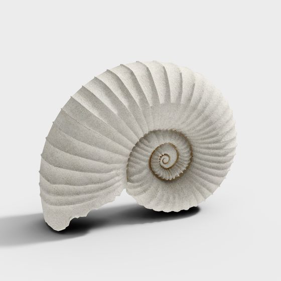 Low Polygon Spiral Shell 3D model