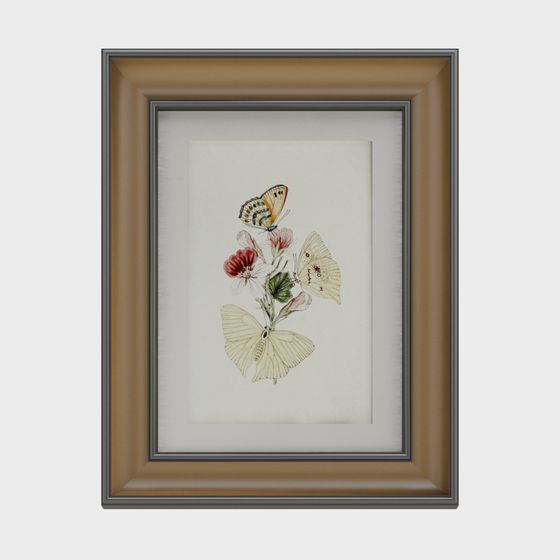 Charming Butterfly Specimen Art 3D Model
