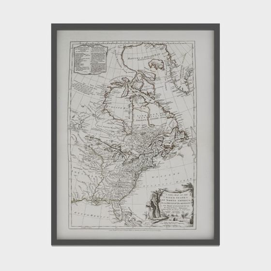 Unique 3D Model of North America Map - Low Poly Style