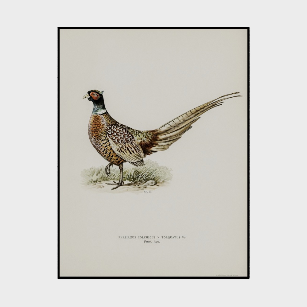 Pintura decorativa con patrón de pájaros del sudeste asiático