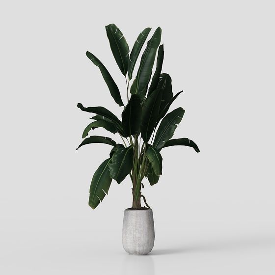 green plants