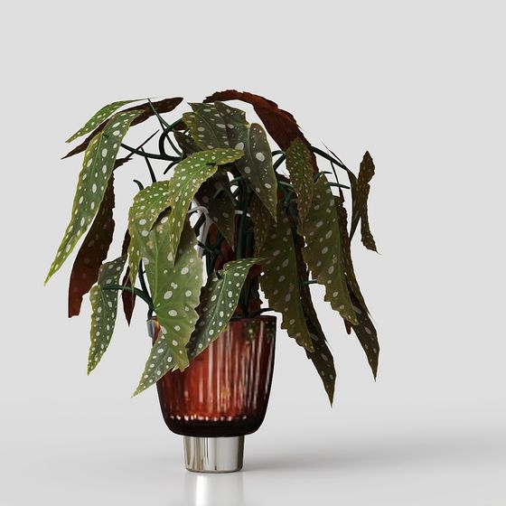 Polka Dot Plant Pot 3D model for Creative Designs