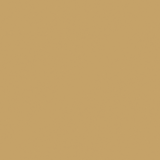 Brown Wall Paints and Coatings 3D Model