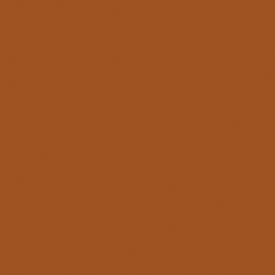 Wall Paints/Coatings in Earth Tone