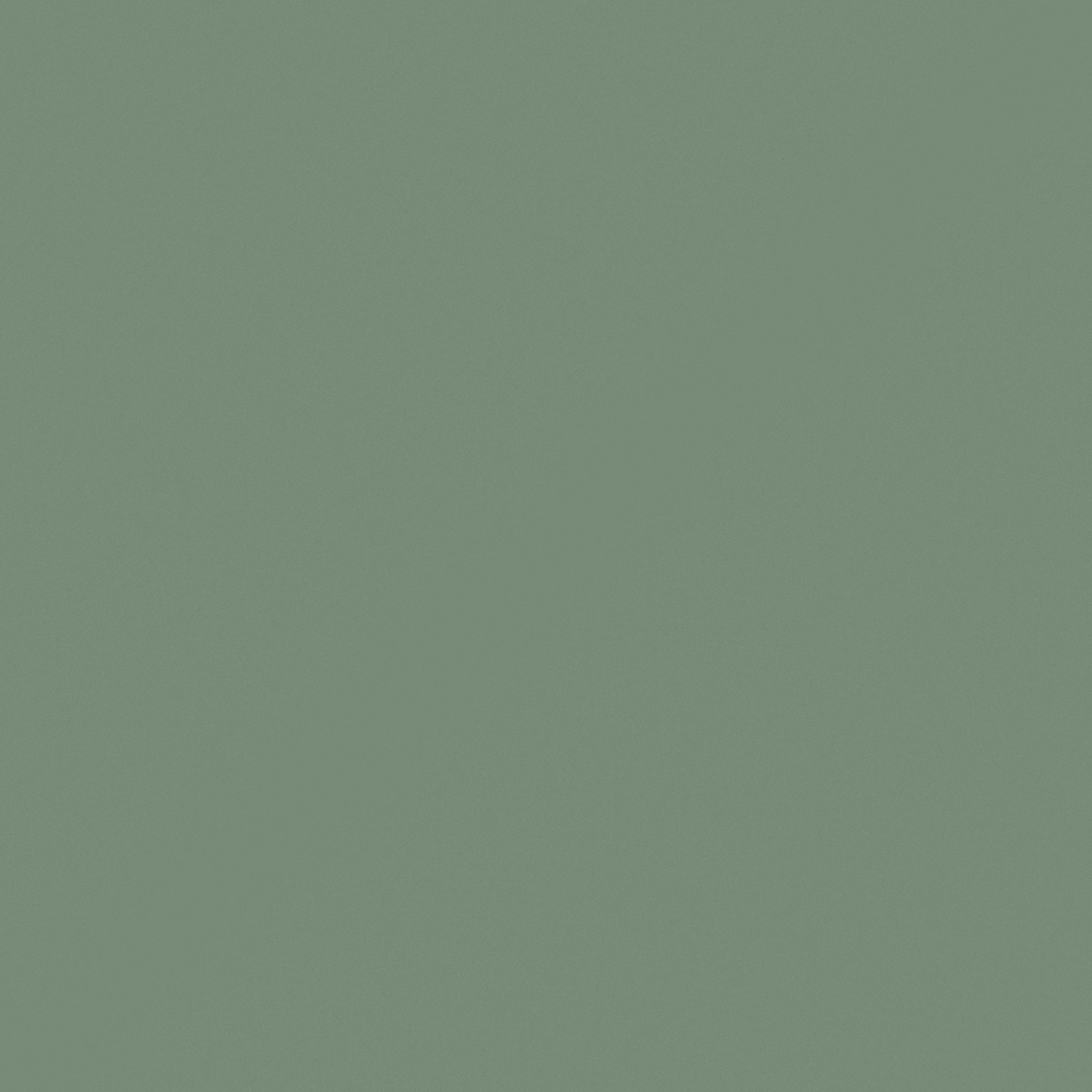 Wall paints/coatings