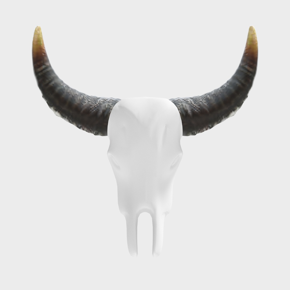 Savannah Spirit Bull Skull 3D model