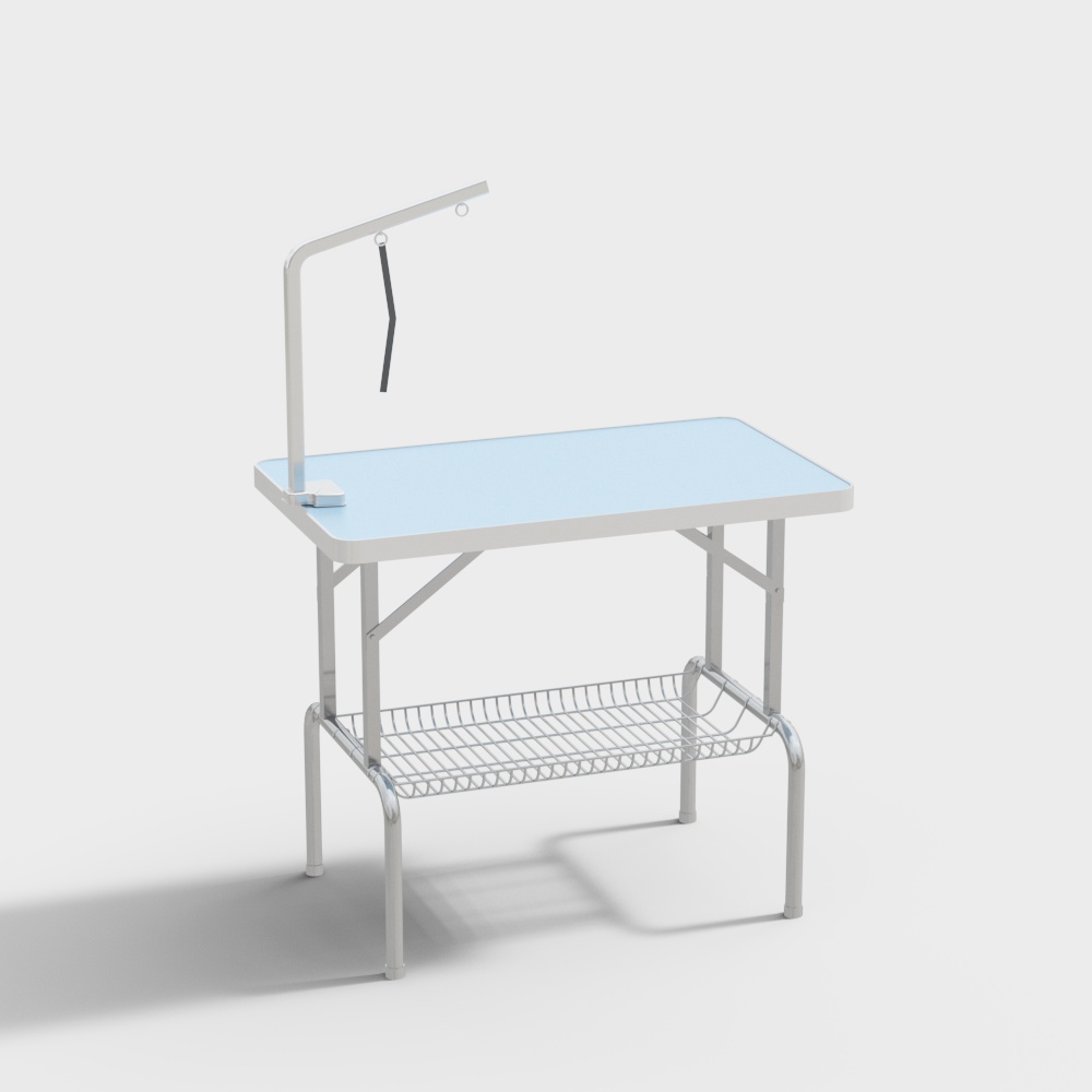 Pet shop beauty area grooming station