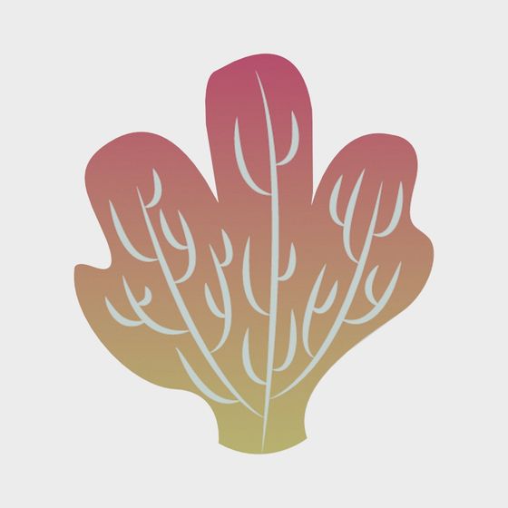 การตกแต่งกำแพงทะเล