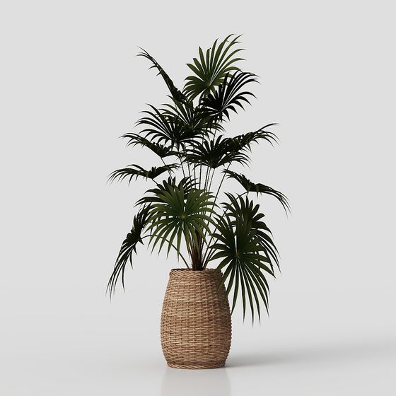 พืชสีเขียว