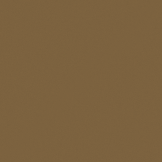 Shecan Wall Paint 3D Model in Beige Finish