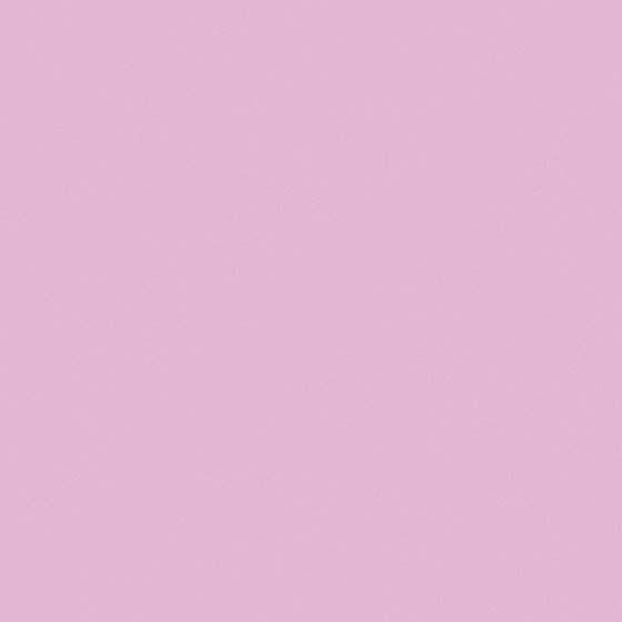 Sakura Wall Paint 3D Model in White