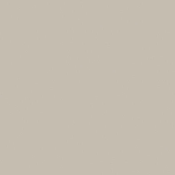 Mica Wall Paint 3D Model in Beige Finish