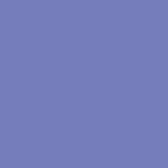 Aster