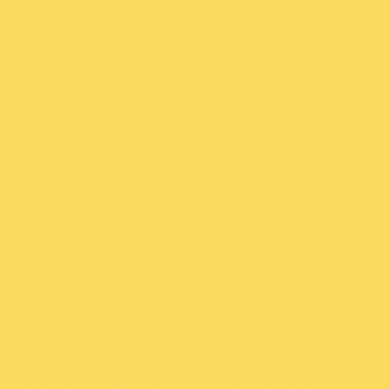 White Yellow Chestnut Stay 3D Model for Wall Paint