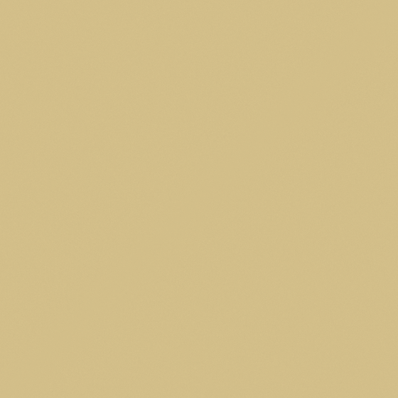 White Rock Honey Paint 3D Model for Walls
