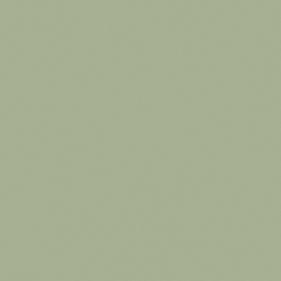 Elegant Azure Jade Case 3D Model in White