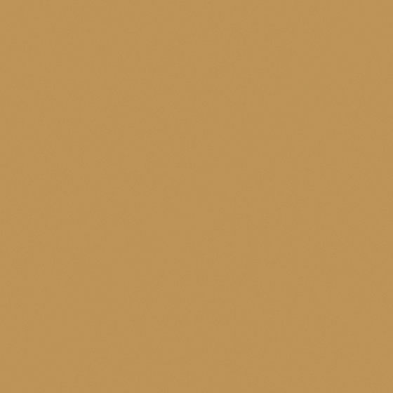 Wood Color Gold Zun 3D Model