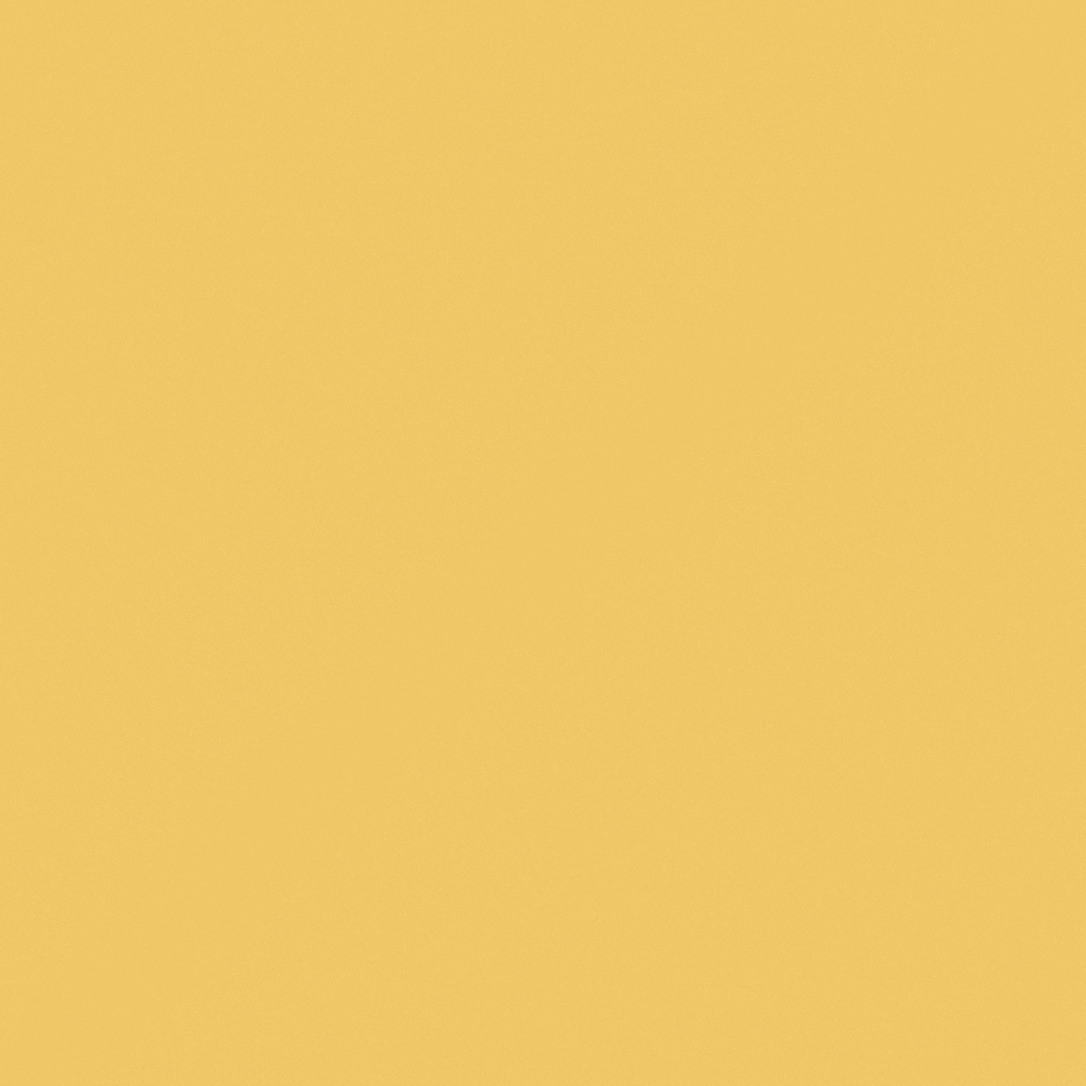 Soft Tender Goose Yellow Wall Paint 3D Model