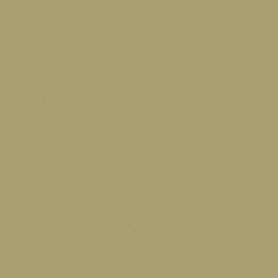 Wang Hua 3D Model in White