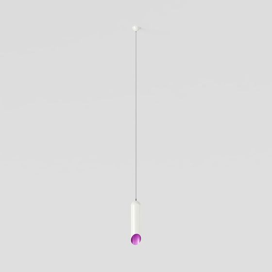 Elegant Modern Pendant Light 3D model