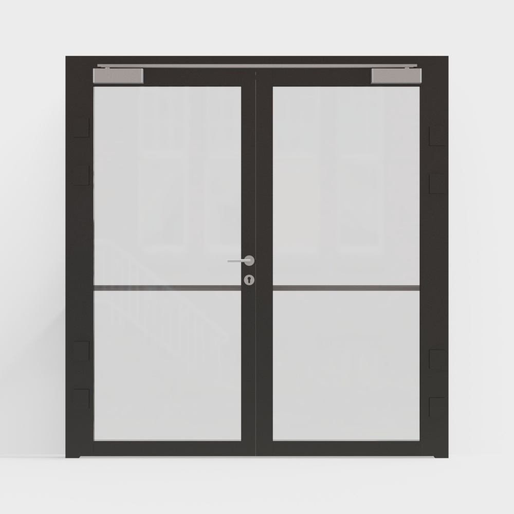 Double office doors
