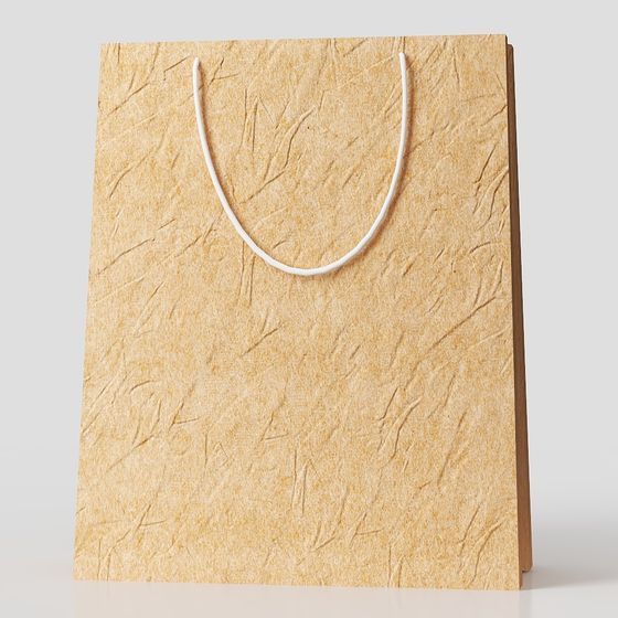 Stylish Low-Poly Paper Bag 3D Model