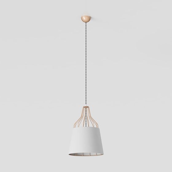 Modern Minimalist Pendant Light 3D model