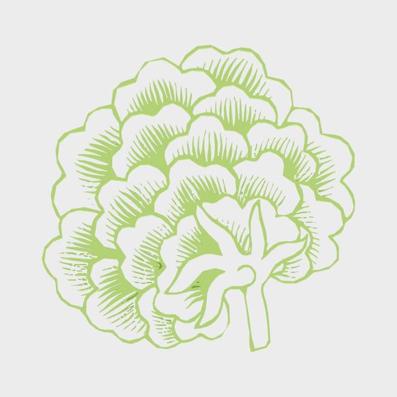 Lettuce Leaf Low-Poly 3D Model for Designers