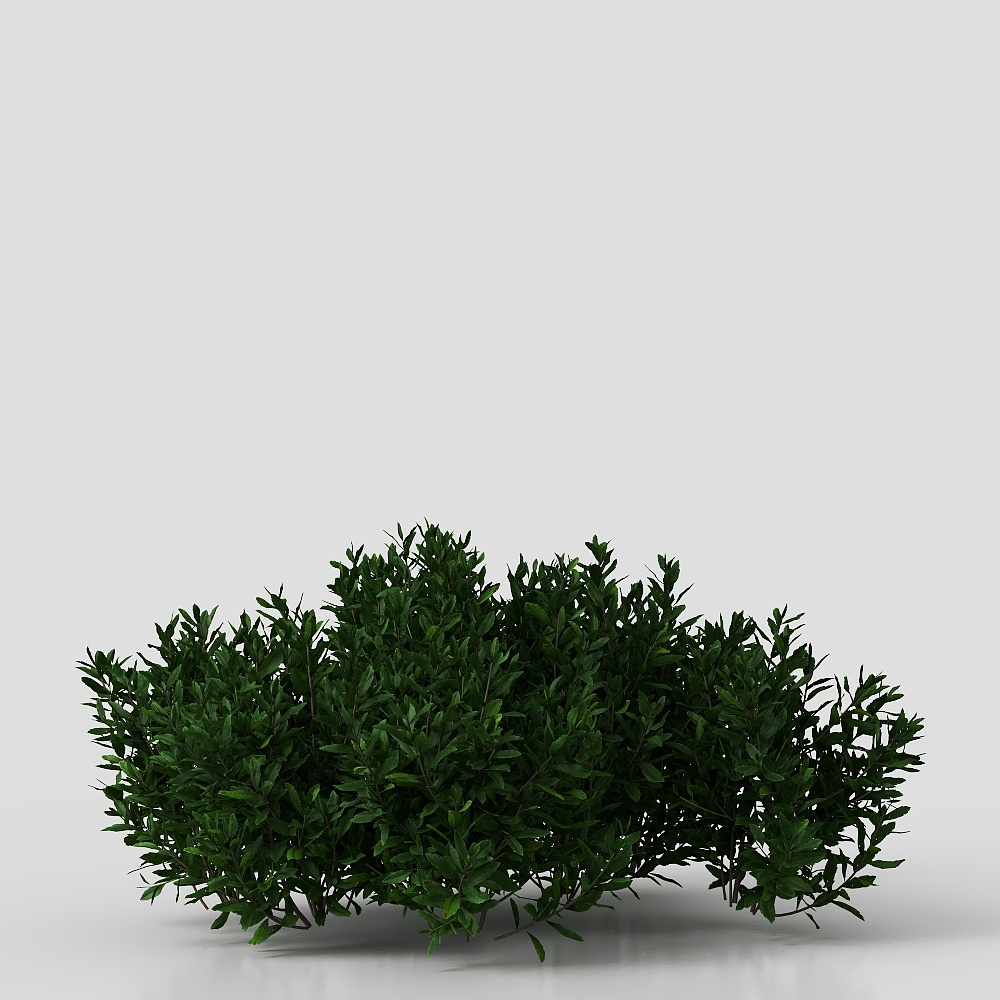 พุ่มไม้-03