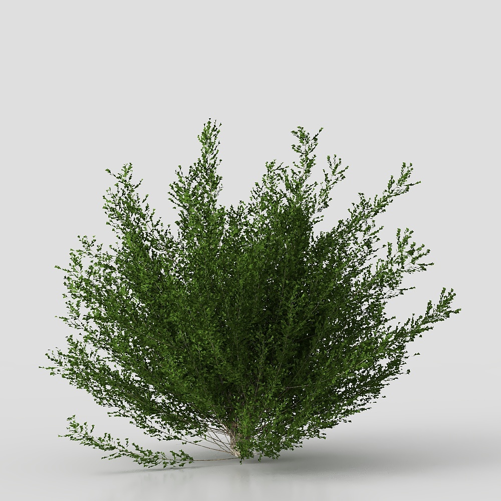 hàng rào cây bụi-16