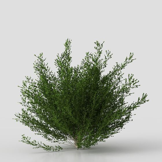 Forest Sprite Low-Poly 3D Model