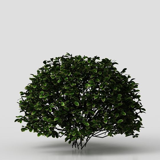 3D Model of Dome Shrub - Perfect for Modern Design