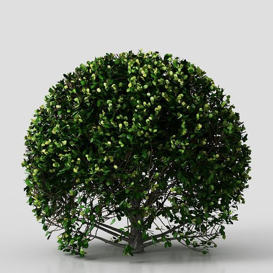 Urban Greenery Low-Poly Tree 3D model