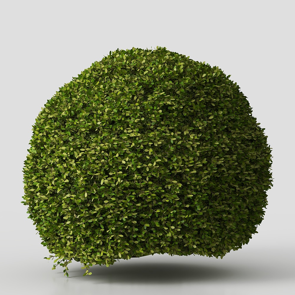 hàng rào cây bụi-13