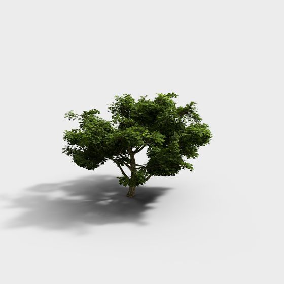 Vibrant 3D Small Tree Model for Creative Projects