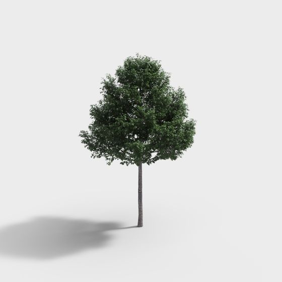 Vibrant Low-Polygon 3D Tree Model