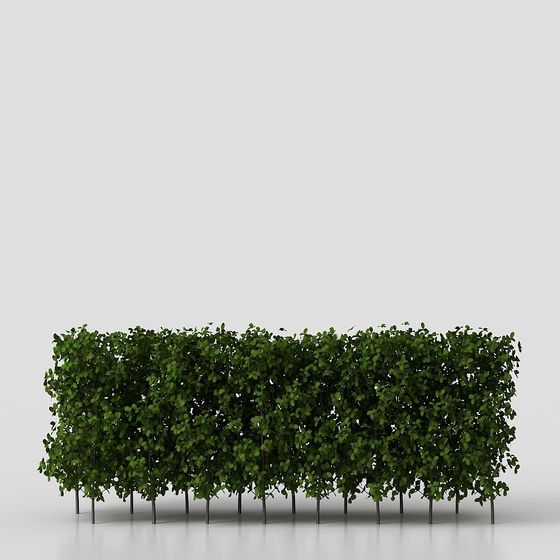 Shrub 3D Model in Green