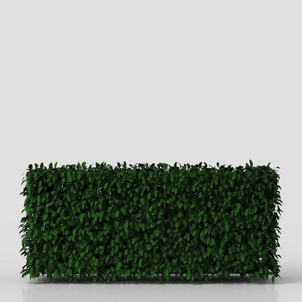 พุ่มไม้-02