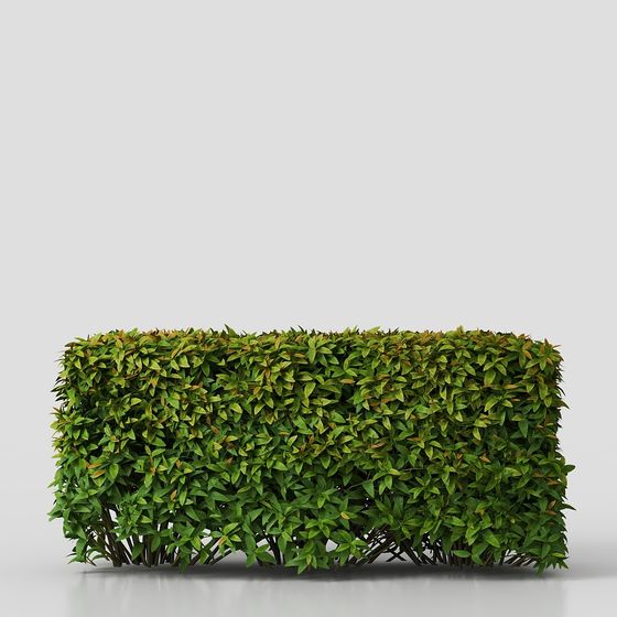 Realistic Low-Poly Shrub Wall 3D model