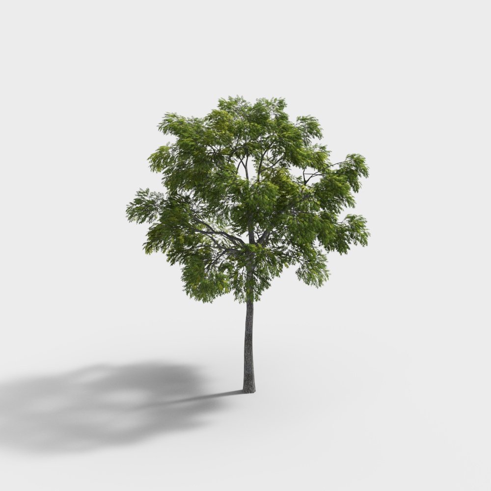 Lifelike 3D Tree Model for Creative Projects