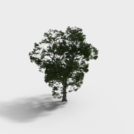 Realistic Low-Poly Oak Tree 3D model
