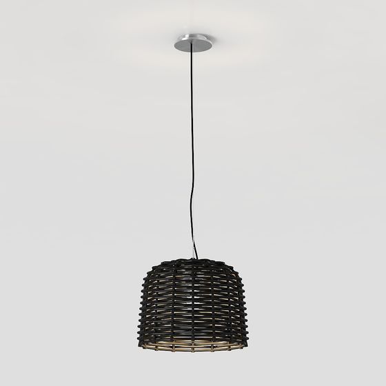 Natural Inspiration Pendant Light 3D model