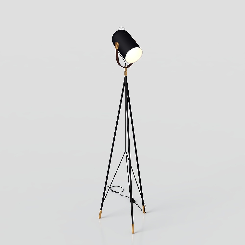 Đèn hiện đại sang trọng