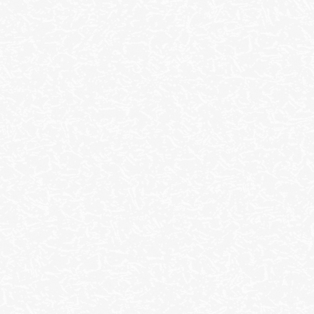 Wall Paint 3D Model in White