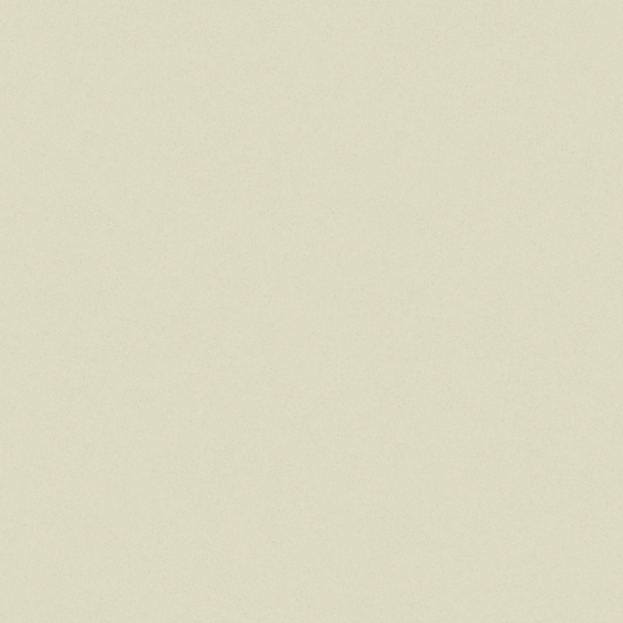 Wall Paint 3D Model in White Color