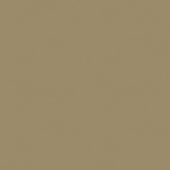 Beige Wall Paint 3D Model