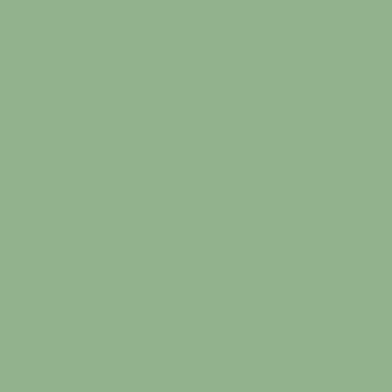 Wall paint -019